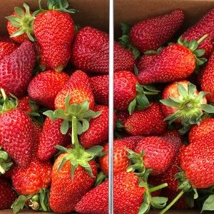 Meet your Posher, Janine